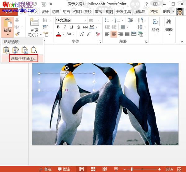 PowerPoint2013中設置文本背景填充效果