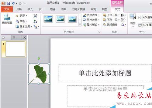 怎樣在ppt中設(shè)置落葉的效果