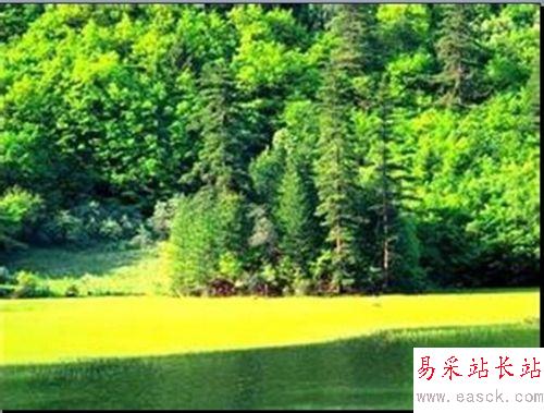 怎樣讓PPT圖片永不停止的循環(huán)播放？