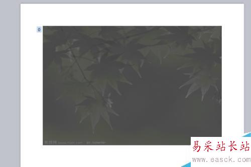 PPT圖片由模糊到清楚怎么設置？