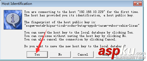 ubuntu 安裝openssh服務(wù)器的教程詳解 ubuntu,openssh