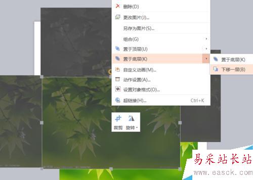 PPT圖片由模糊到清楚怎么設置？
