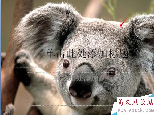 ppt設置背景及紋理