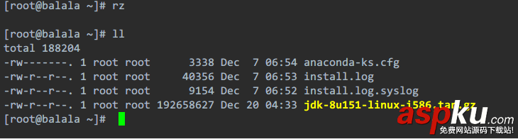 Linxu服務器上安裝JDK 詳細步驟 linxu,服務器,安裝,jdk