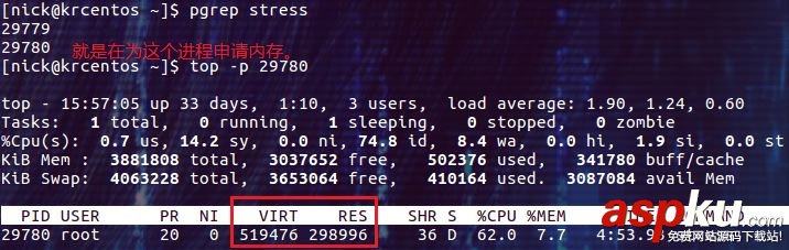 Docker如何限制容器可用的內存 docker限制容器內存,docker,容器內存