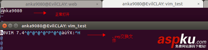 vim,自動(dòng)備份,備份文件