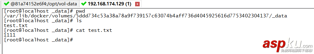 docker,數據卷,volume
