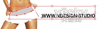 用Illustrator的封套快速制作時裝廣告_網頁教學網Vevb.com整理