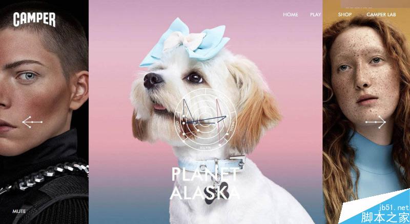 解讀如何在設計中運用潘通年度代表色,PS教程,思緣教程網