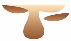 Illustrator繪制矢量風(fēng)格簡(jiǎn)筆馴鹿頭像