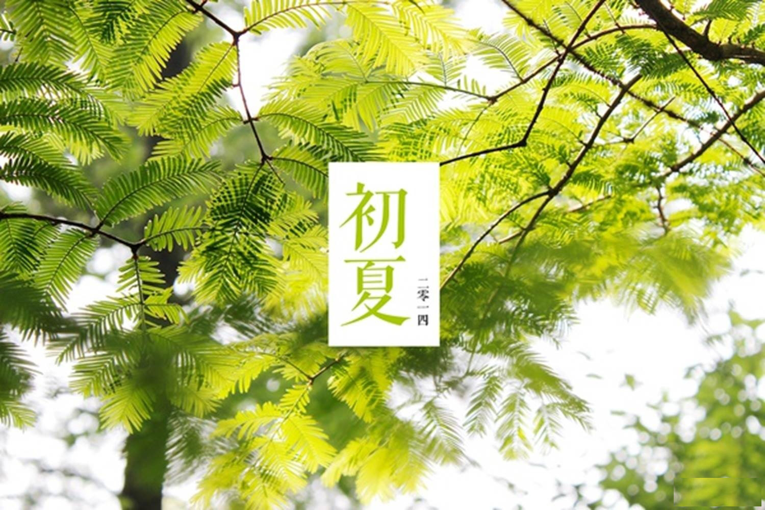 超全面教程！給照片添加文字有哪10個高大上的方法？
