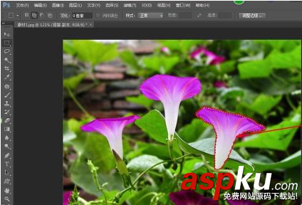 ps怎么給圖片加馬賽克 ps給圖片打馬賽克簡單實用教程 ps,馬賽克,圖片