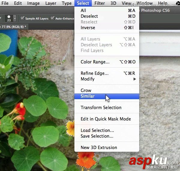 Photoshop詳細(xì)解析修改選區(qū)必備的十招技巧教程 Photoshop,Photoshop教程,Photoshop技巧