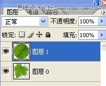 Photoshop教程,水珠,綠葉