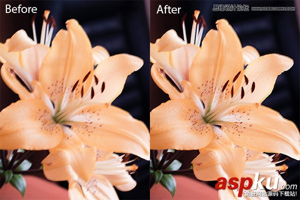 Photoshop技巧:CC版本的最全總結教程 Photoshop技巧,PhotoshopCC,PhotoshopCC教程