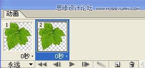 Photoshop教程,水珠,綠葉