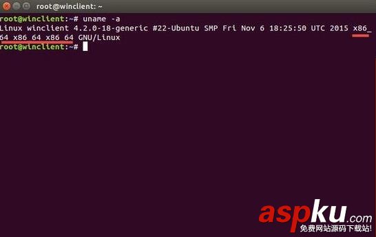 Linux系統(tǒng)架構(gòu)類型的5條常用查看命令 Linux系統(tǒng)架構(gòu)查看命令,Linux系統(tǒng)常用命令,Linux查看命令,Linux系統(tǒng)架構(gòu)顯示命令