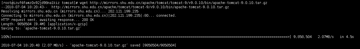Linux,CentOS,Tomcat9,web項目