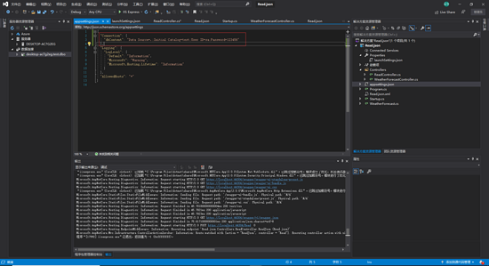 .Net Core讀取Json配置文件的實現(xiàn)示例