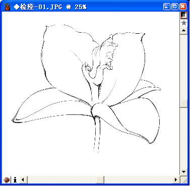 用painter與數(shù)碼板繪制百合花（圖六）