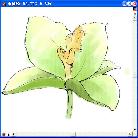 用painter與數(shù)碼板繪制百合花（圖九）