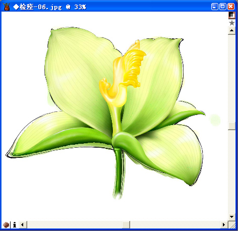 用painter與數(shù)碼板繪制百合花（圖十八）