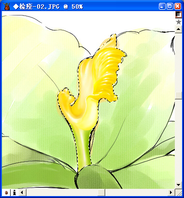 用painter與數(shù)碼板繪制百合花（圖十六）
