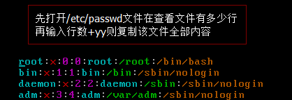 linux中vi編輯器的練習心得 linux,vi編輯器
