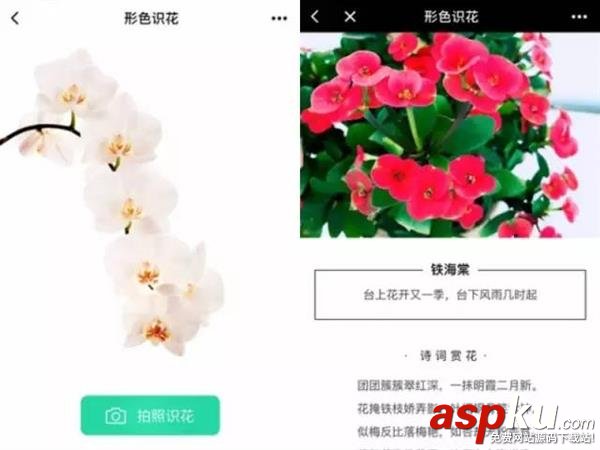 你一定要收下!幾款腦洞大開又非常實用的微信小程序推薦 微信,小程序