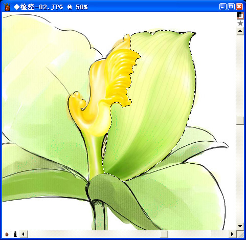 用painter與數(shù)碼板繪制百合花（圖十七）