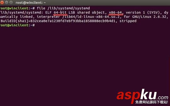 Linux系統(tǒng)架構(gòu)類型的5條常用查看命令 Linux系統(tǒng)架構(gòu)查看命令,Linux系統(tǒng)常用命令,Linux查看命令,Linux系統(tǒng)架構(gòu)顯示命令