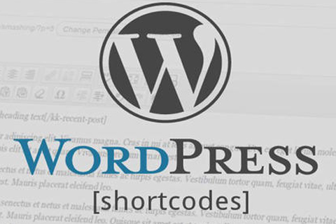 WordPress報錯 assumed ‘ture’的解決辦法