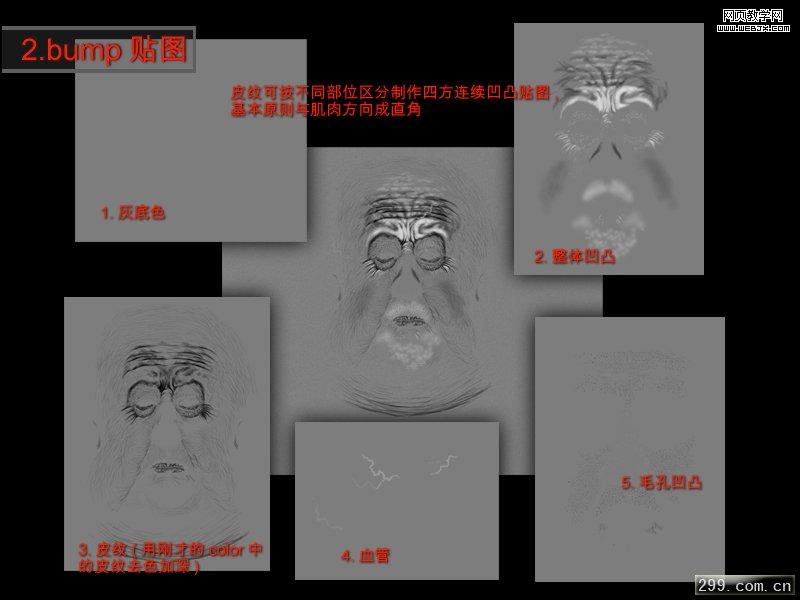 點(diǎn)擊查看大圖