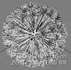 3ds max實例教程：制作蒲公英