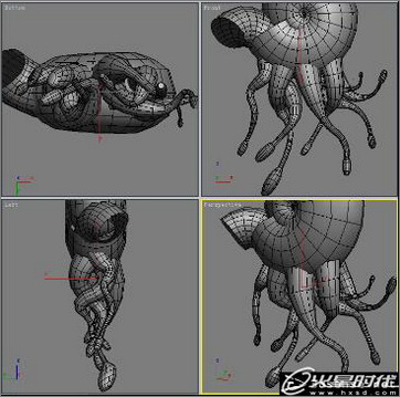 3dsmax教程:打造逼真的海底光影效果和深海動(dòng)物